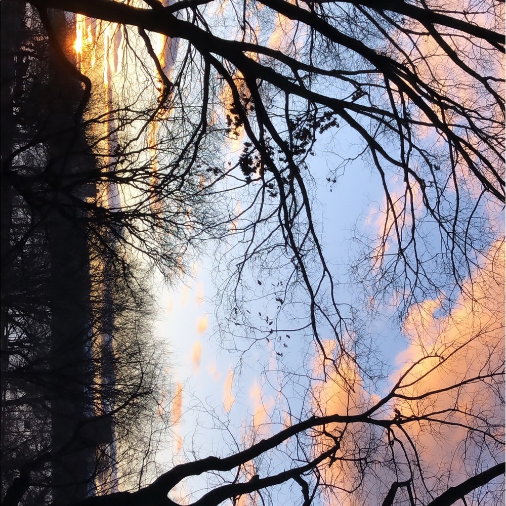 Meet your Posher, Farrah